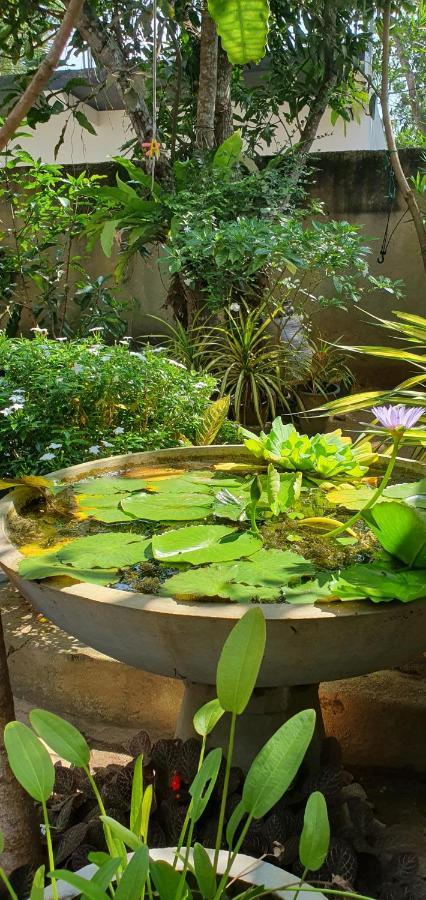 فندق Temple Tree ميريسا المظهر الخارجي الصورة